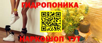 мяу мяу мука Гатчина