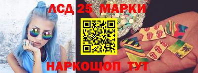 мяу мяу мука Гатчина