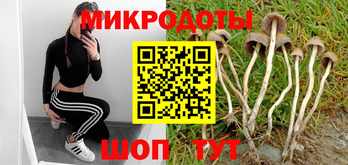 Псилоцибиновые грибы Cubensis  Вход с VPN  купить наркоту  Валуйки 